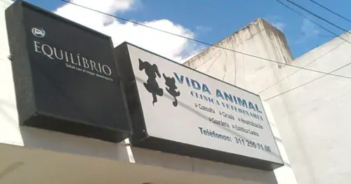 VETERINARIA VIDA ANIMAL AR VETERINARIA VIDA ANIMAL AR